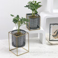 /msite/products/detail/productid/61691006/id/1356447.html